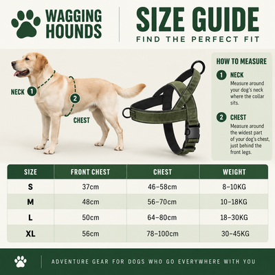 Wagging Hounds No-Pull Reflective Harness