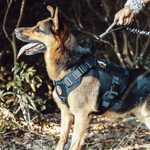 Adventure Tactical Harness
