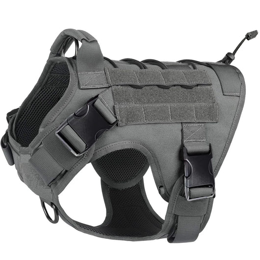 Adventure Tactical Harness